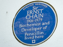 Chain, Ernst (id=1554)